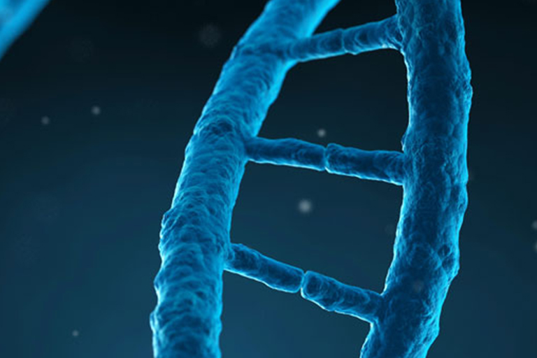 DNA double helix