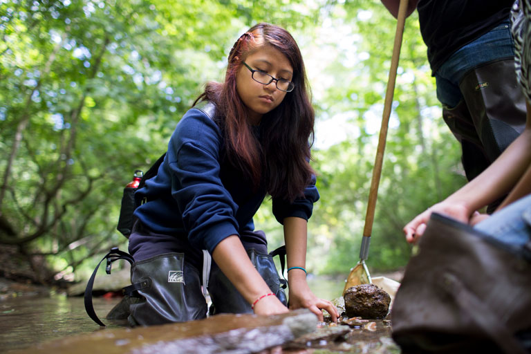 A person knealing in a creek examining rocks.